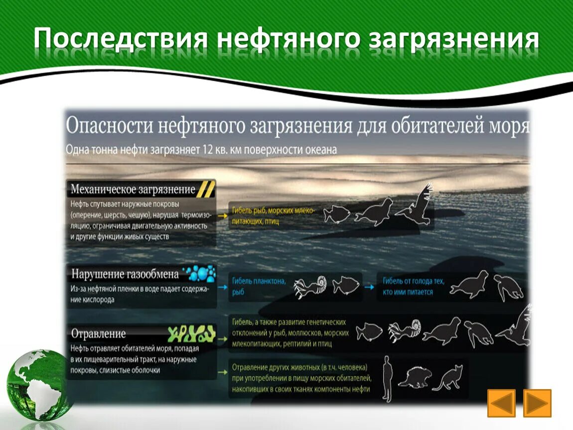 Последствия экологической опасности. Нефтяное загрязнение. Загрязнение окружающей среды нефтью. Последствия нефтяного загрязнения. Последствия загрязнения нефтью.