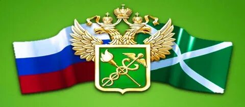 Фтс назначения