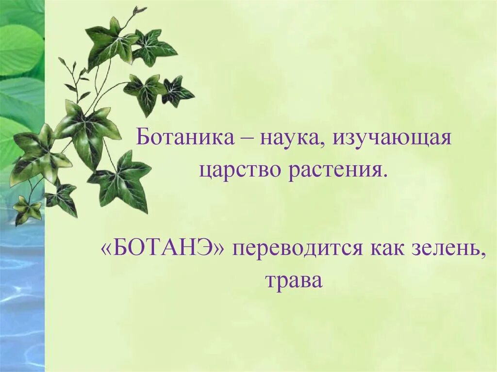 Ботаника это наука изучающая. Царство растений. Ботаника это наука изучающая растения. Ботаника наука изучающая царство растений.