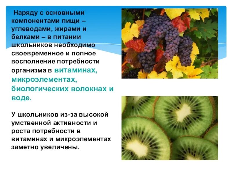 Значение углеводов в питании животных