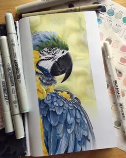Животные нарисованные маркерами