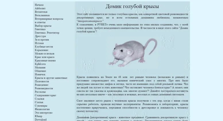 Какой код в крысе