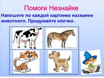 Подобрать клички животным