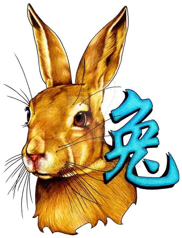 Год дракона кролика. Год кролика. Китайский год кролика. Китайский Зодиак кролик. Кролик знак зодиака.
