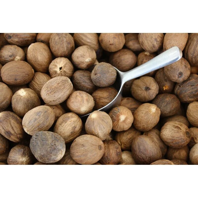 Купить целый орех. Nutmeg — мускатный орех. Орех Индиана мускатный молотый. Мускатный орех Nutmeg 113. Мускат орех.