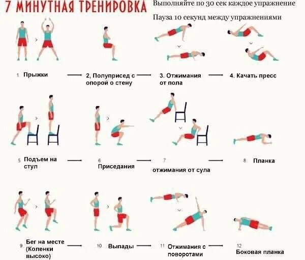 Домашняя тренировка на все группы мышц. Упражнения для тренировки. упражнения для тренировки дома. круговая тренировка. комплекс круговой тренировки.