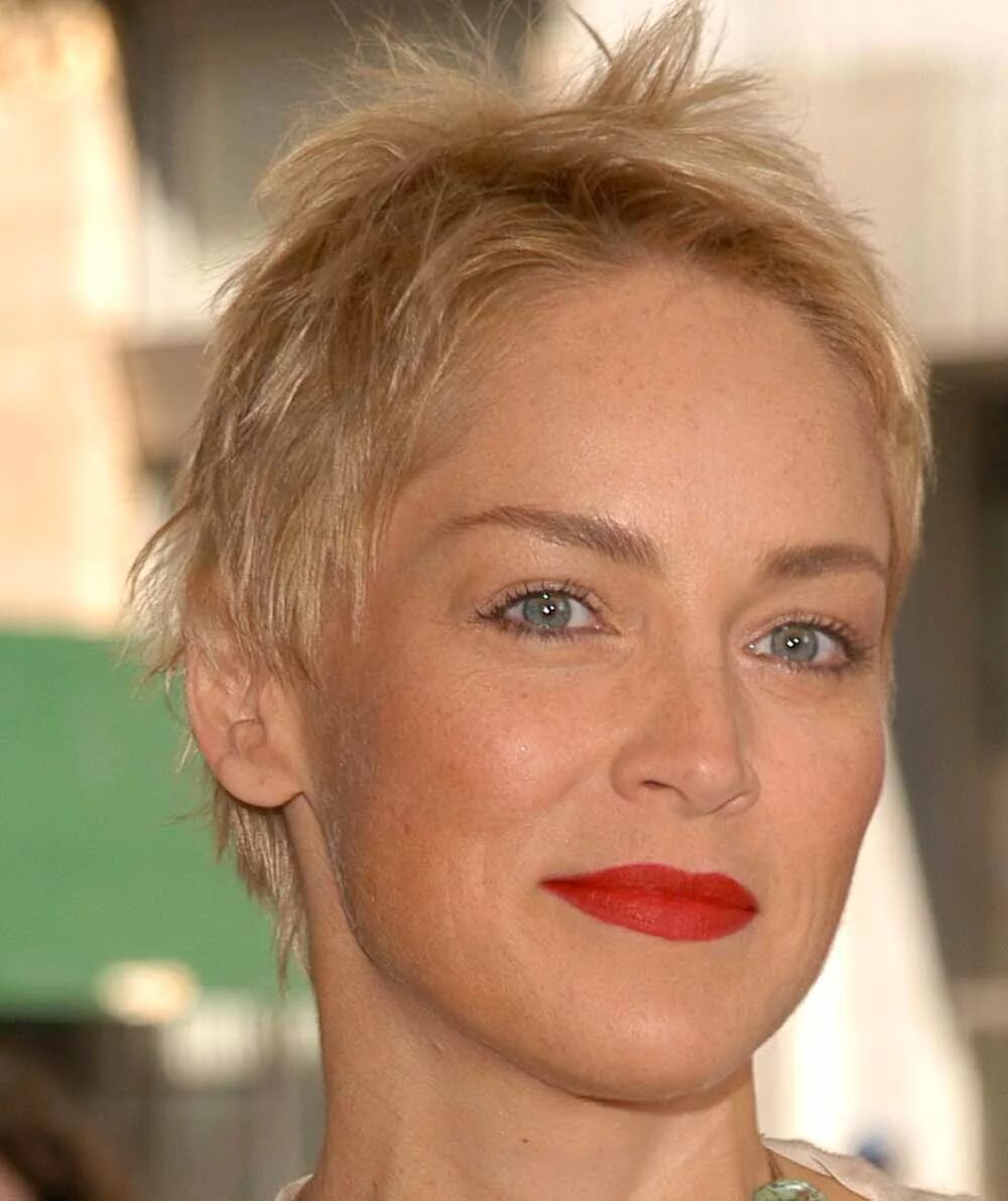 шерон стоун с короткой стрижкой. стрижка шерон стоун. шэрон стоун фото. шерое струн с короткой стрижкой. пикси шэрон стоун.