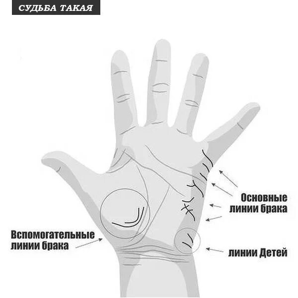 Картинки ЛИНИИ НА ПАЛЬЦАХ