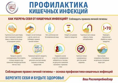 Кишечная инфекция в москве 2024