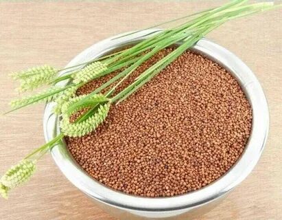 Зерна вкуса