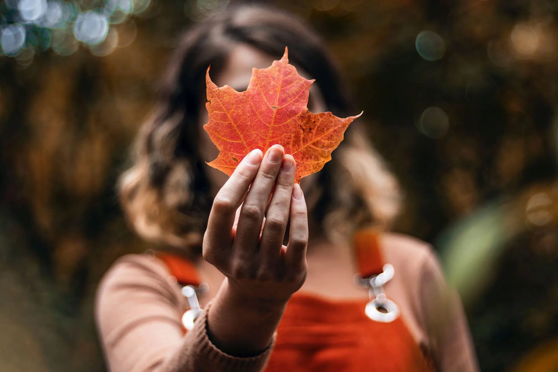 Необыкновенно теплые. Осенние листья в руках девушки. Осень Эстетика. Девочка с кленовыми листьями. Лист в руке.