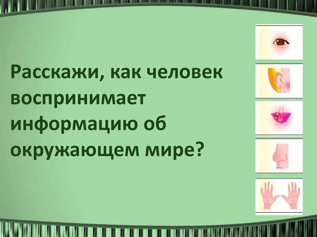 Человек воспринимает информацию. Как мы воспринимаем информацию. Информация об окружающем мире. Лучше воспринимается информация