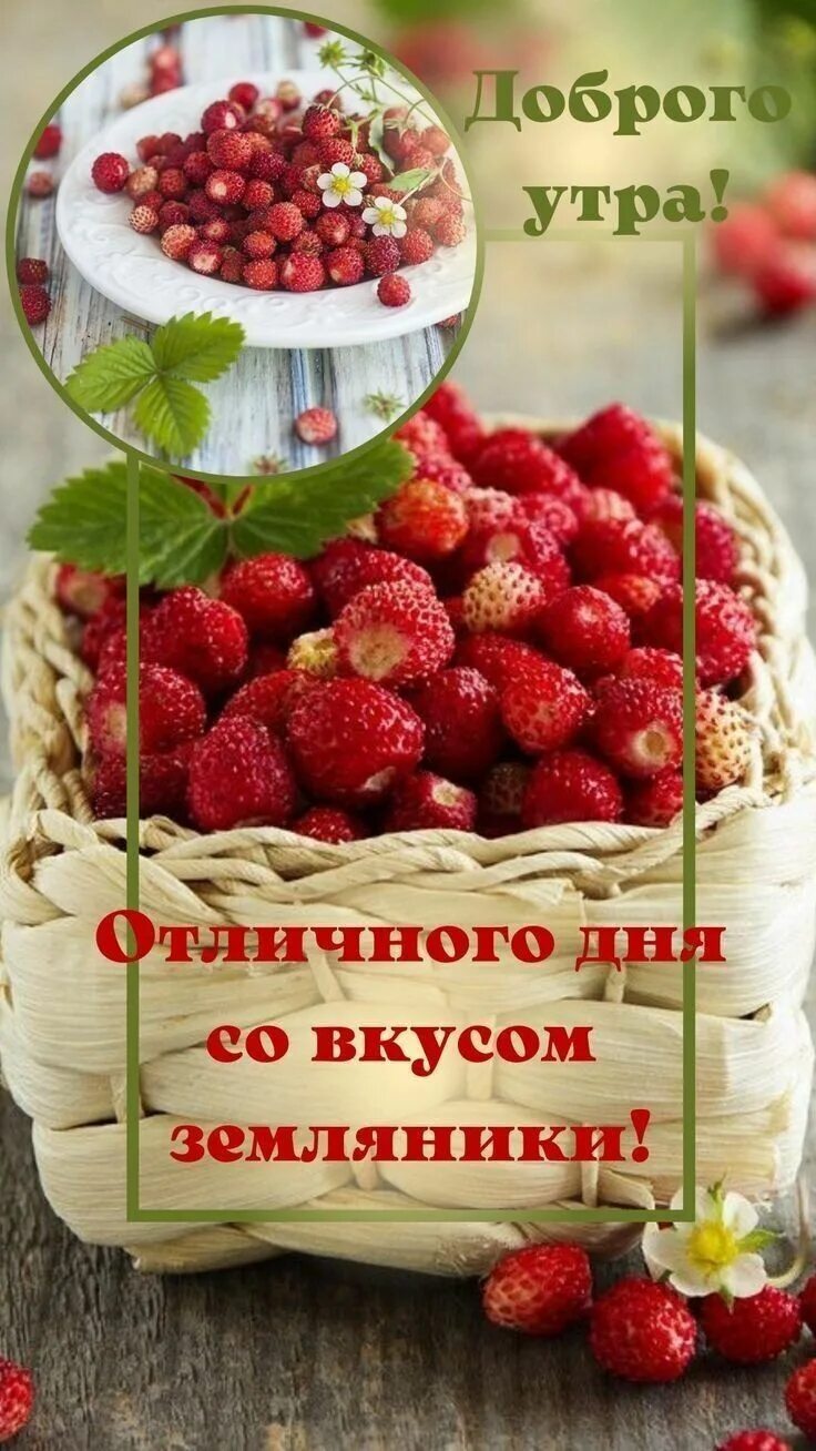 Клубника. Клубника в чашке. Клубника в чашке. Утро ягоды солнце. Доброе утро ягоды.