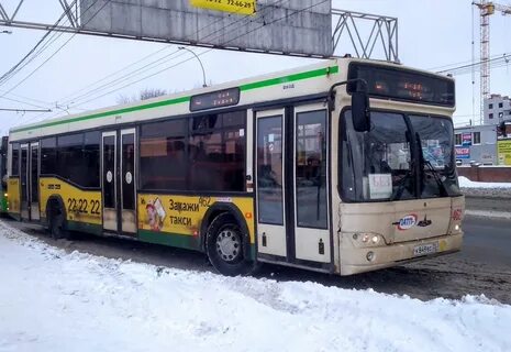 Автобус вологда дикая 2024