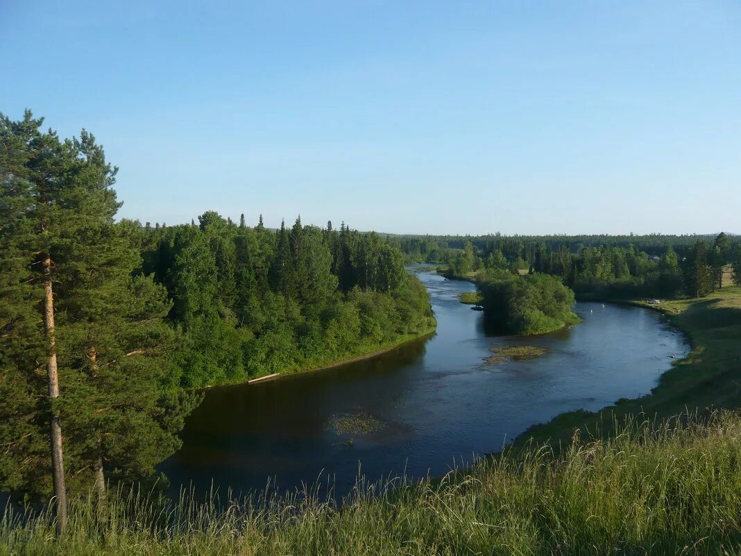 Река сосьва. Исток реки Сосьва. Река Сосьва Свердловская. Река Сосьва берег. Река Лозьва Сосьва природа реки.