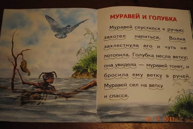 Рассказ Толстого муравей и Голубка. Басня л н Толстого муравей и Голубка. Лев толстой рассказ муравей и Голубка. Басня Льва Николаевича Толстого муравей и Голубка. Толстой текст муравей