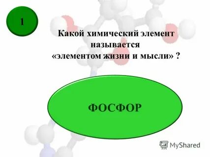 Их называют элементы жизни