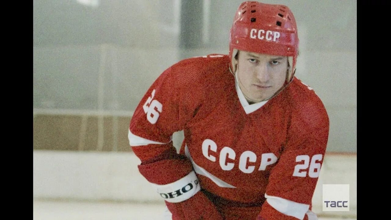 Александром викентьевичем скворцовым. Александром викентьевичем скворцовым