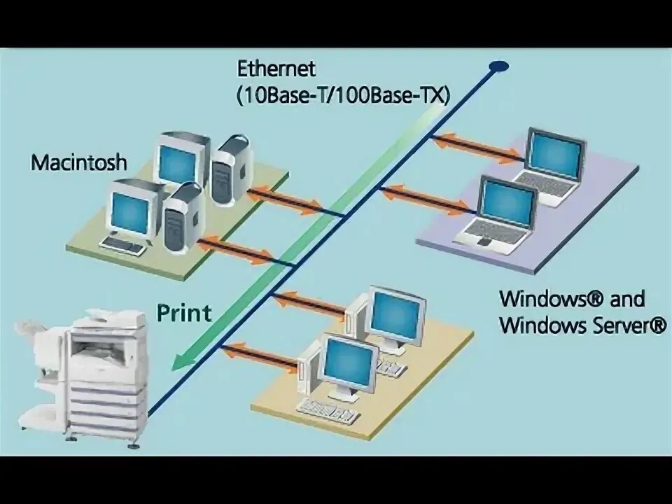 Network lesson