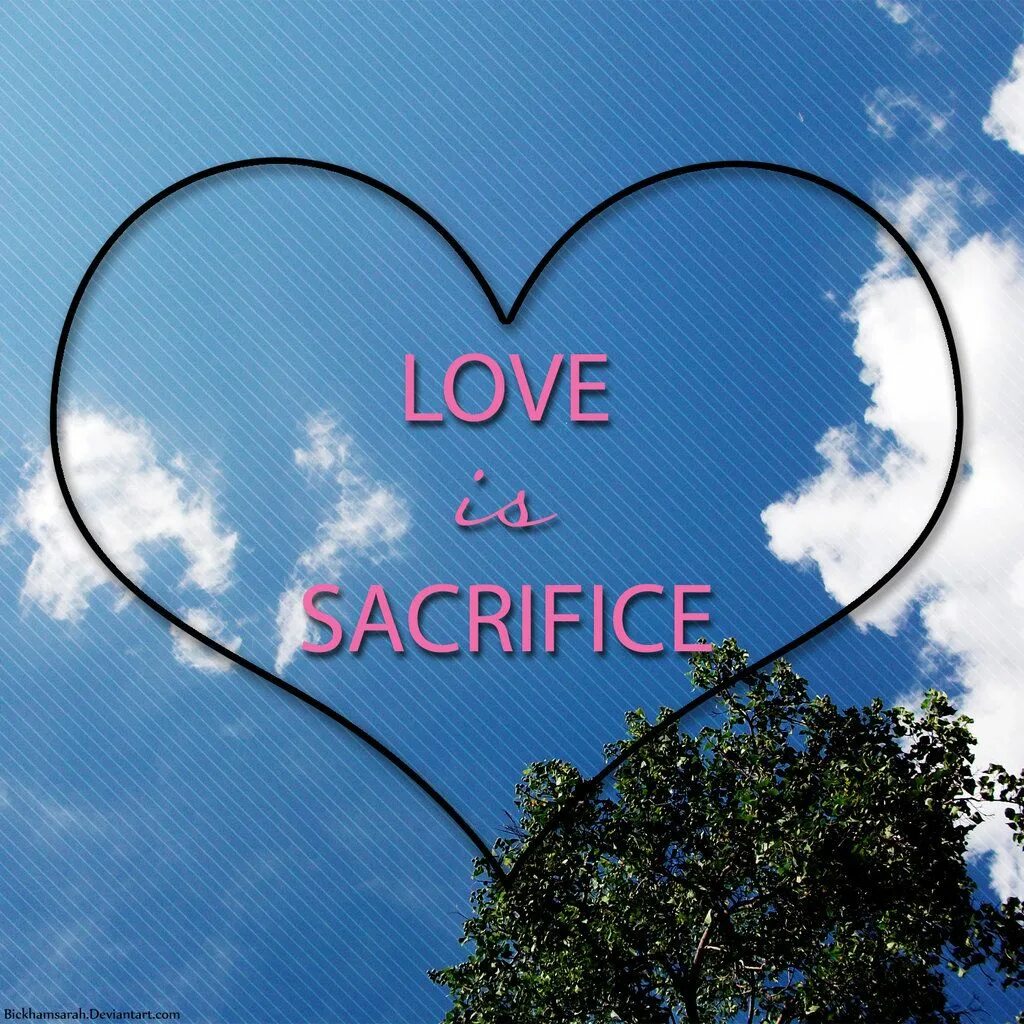 True love is when someone ready to sacrifice and the other will never accept. Истинная любовь. Love sacrifice. Love sacrifice. Love sacrifice.