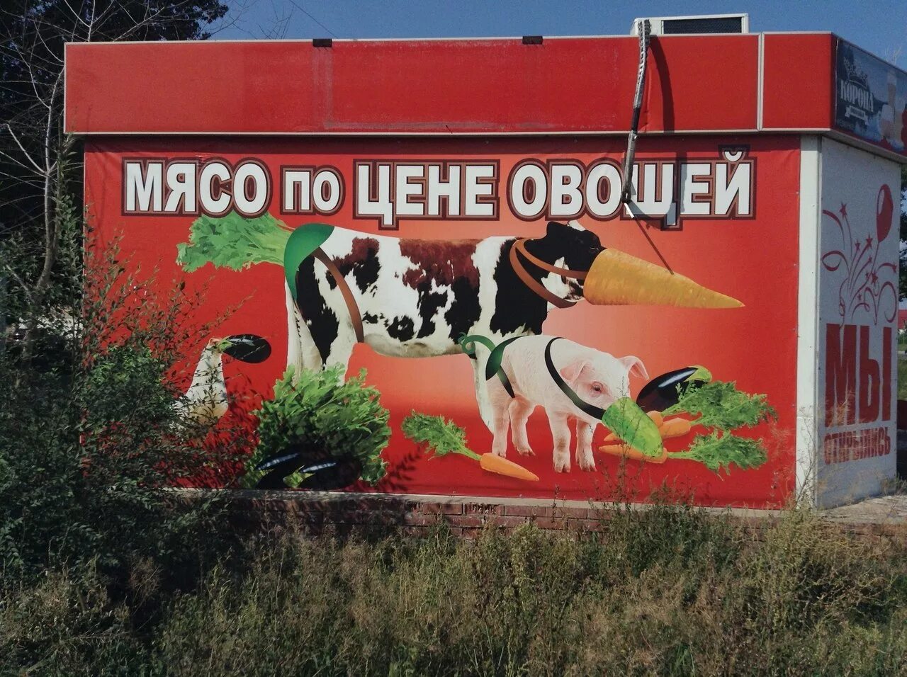 томленая говядина с овощами. мясо по цене овощей. мясо по цене овощей. рекламный плакат. мясо по цене овощей.