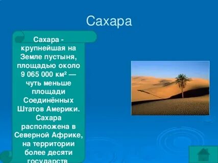 Сколько осадков выпадает в пустыне