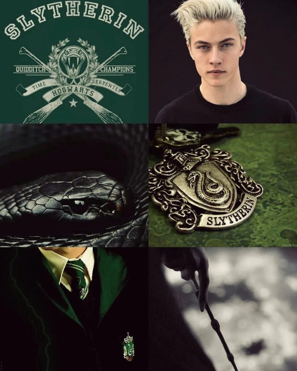 Сын слизерина. Альбус северус поттер слизерин. Салазар слизерин арт. Сын драко малфой скорпиус. Гарри наследник слизерина.