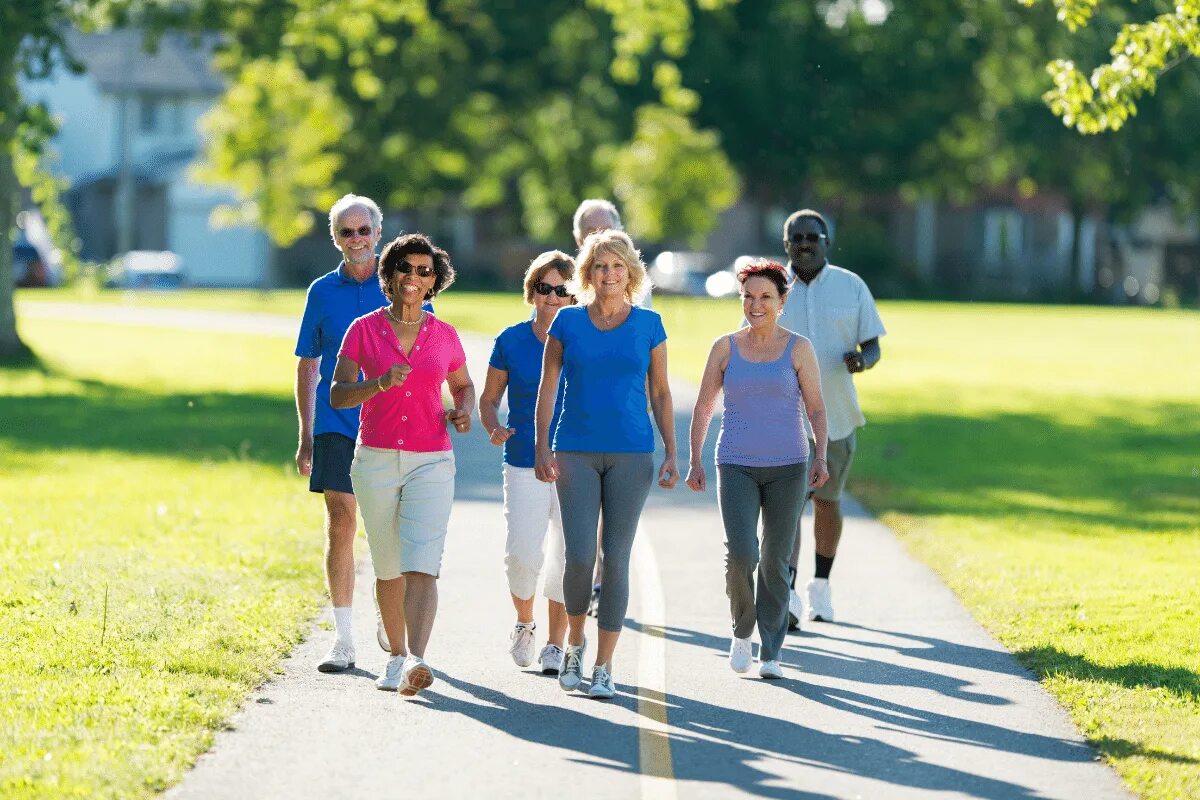 Пешие прогулки у пациентов. The walk. Фитнес день в парке. Walk картинка. Health activities