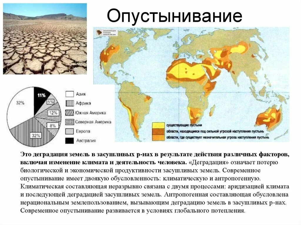 Что способствует опустыниванию саванн