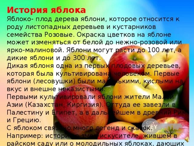 Текст про яблоко. Яблоко информация. Сообщение о яблоке. Интересные факты о яблоках. Доклад о яблоке.