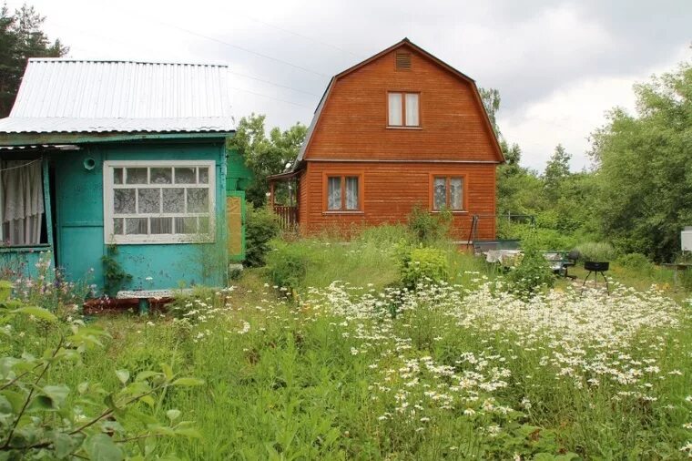 Продаю дачу в г. Александров в Александрове