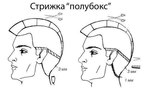 Полубокс технология. Стрижка полубокс бокс схема стрижки. Схемы мужских стрижек бокс и полубокс. Технология выполнения стрижки полубокс схема. Стрижка полубокс схема выполнения.