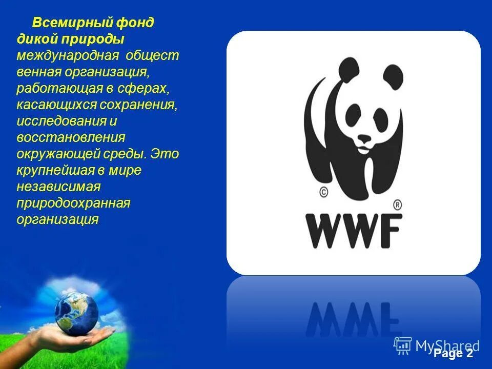 Доклад на тему фонд. Международные экологические организации в России сообщение. Всемирный фонд дикой природы WWF России. Сообщение о работе международных экологических организаций. Сообщениео работемеждународных экологических организацый.