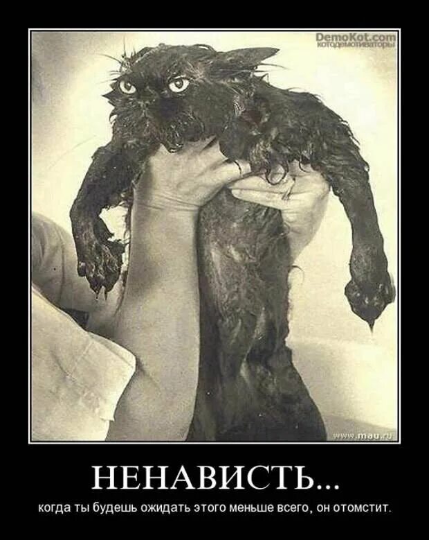 Уилл грэм и ганнибал лектор приколы. Фото с цитатами. Больше всего меня пугают ровесники какого хрена они такие старые. Кровавые надписи на стенах. Ненавижу пугают.