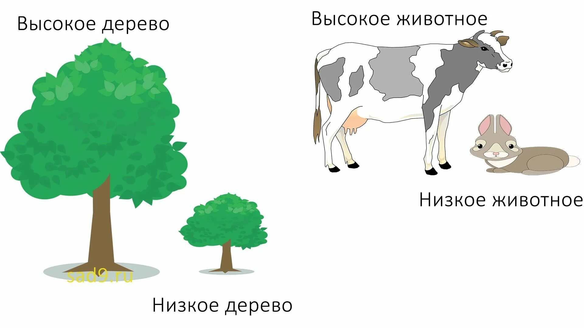 Высокое и низкое дерево. Высокий низкий для детей. Высокий - низкий. Высокий и низкий рисунок.