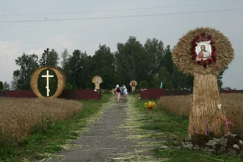 Минские могилы. Ель Валентины Минской.