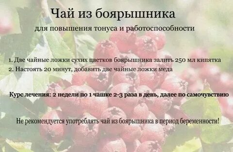 Полезно ли есть боярышник