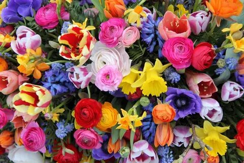 Flower mix