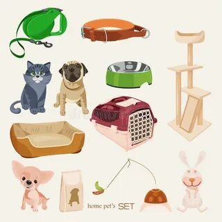 Pet setting