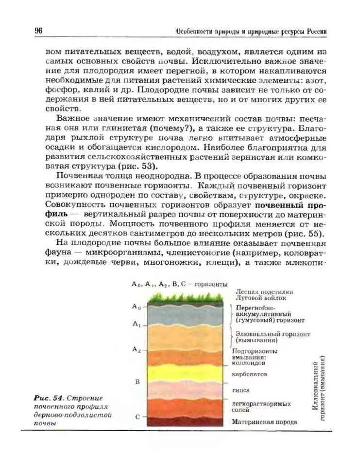 Какая структура почва благоприятна для сельскохозяйственных растений