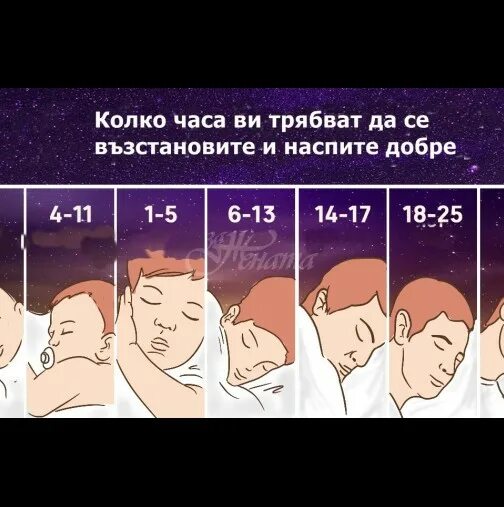 Сколько часов минимум спать. Сколько должен спать человек. сон сколько часов. сколько часов нужно спать. сколько часов нужно спать человеку.
