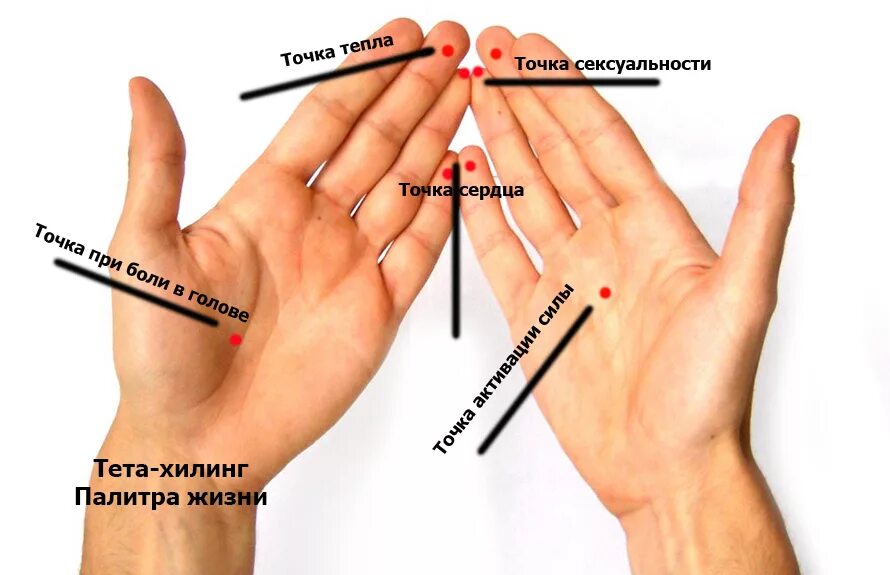 Ниже всех находится точка. Точка бодрости на руке. точка активации силы на ладони. волшебные точки на теле человека. точка в центре ладони.