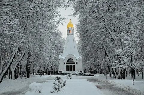 Рязанская область зимой