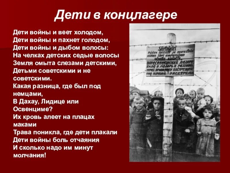 Проект про войну. Дети войны. презентация на тему дети войны. проект дети войны. проект дети войны презентация.