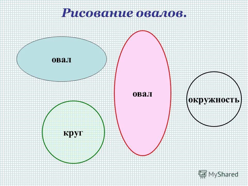 Предметы овальной формы. Что такое овал. Геометрические фигуры овал. Овал. Эллипс и овал.