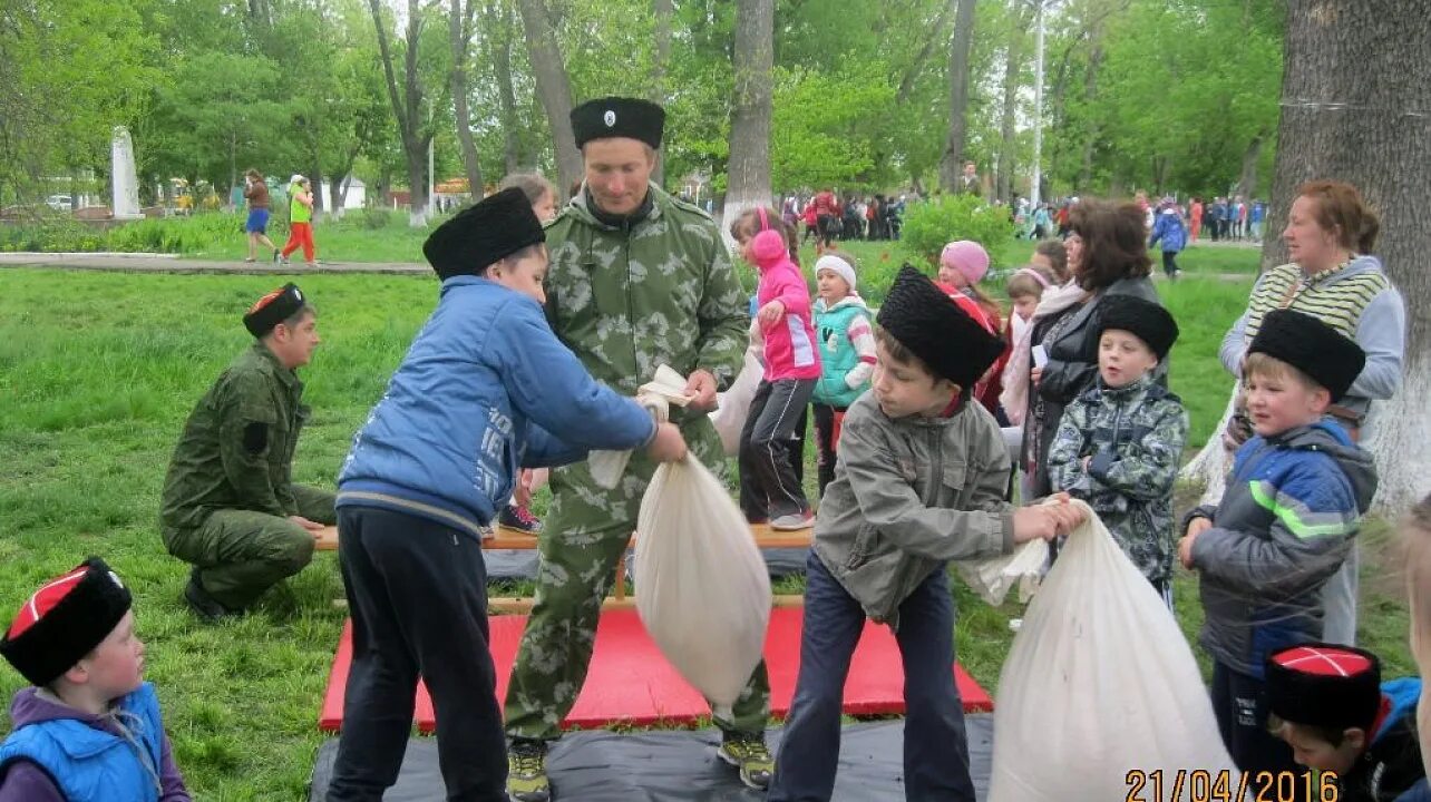 Программа казачество