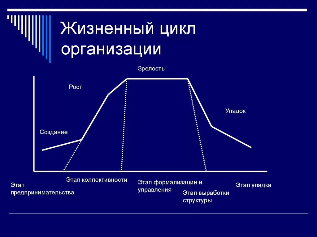 Жизненный цикл организации. Этапы жизненного цикла. Фазы жизненного цикла фирмы. Стадий жизненного цикла организации. Жизненного цикла организации (ЖЦО). Организация ее жизненный цикл