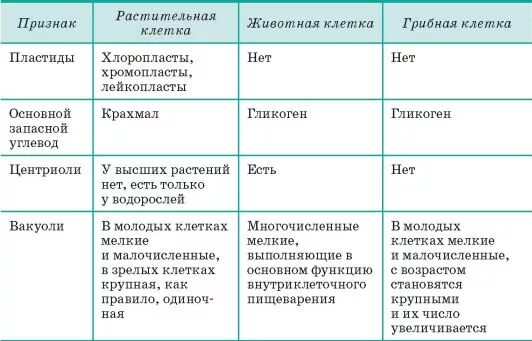 Таблица строение животной клетки органоиды строение функции. Органоиды эукариотических клеток таблица. Органоиды клетки строение и функции таблица. Строение клетки функции органоидов клетки таблица. Таблицу органоиды эукариотической клетки