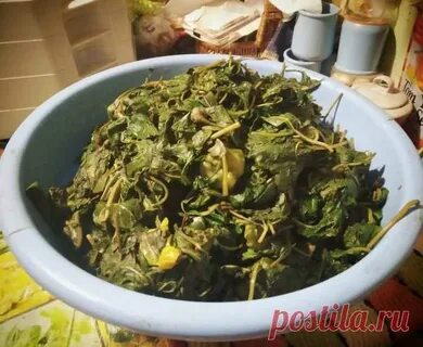 Листья перца рецепт