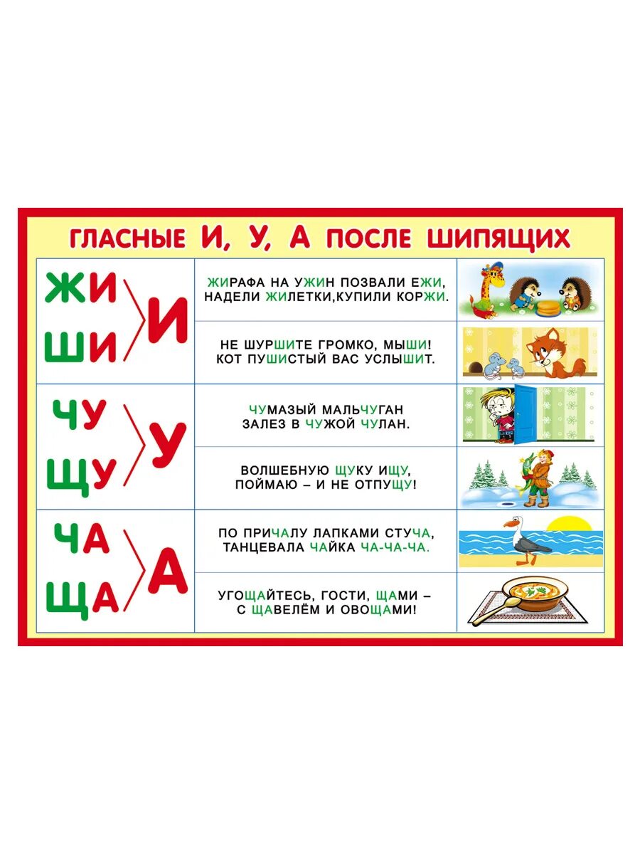 Гласные после шипящих 1 класс. Гласные после шипящих. Буквы и у а после шипящих. Гласные после шипящих ча ща Чу. Жи ши после шипящих.